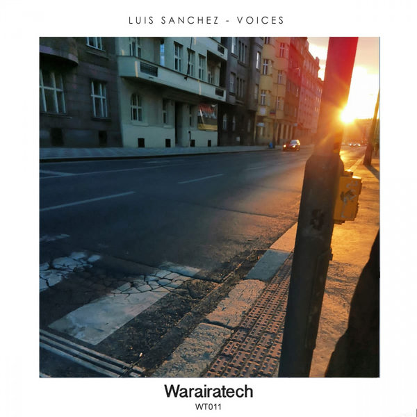 Luis Sanchez DJ - VOICES EP [WT011]